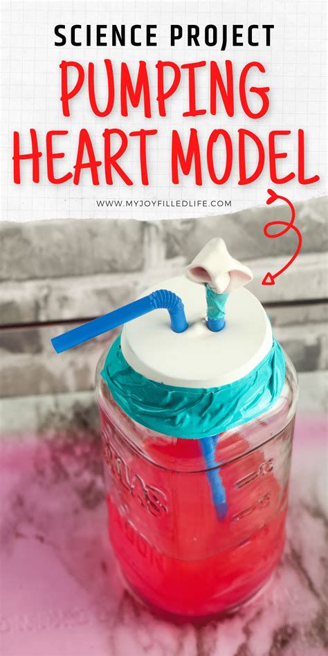 How To Make A Heart Pump Science Project Heart Science Experiment - Heart Science Experiment