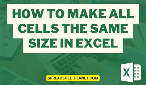 How To Make All Cells The Same Size Cell Size Worksheet - Cell Size Worksheet