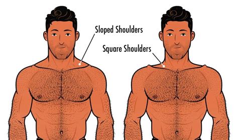 how to make arms and shoulders smaller