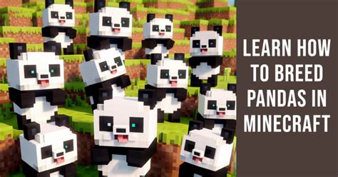 how to make baby pandas on minecraft