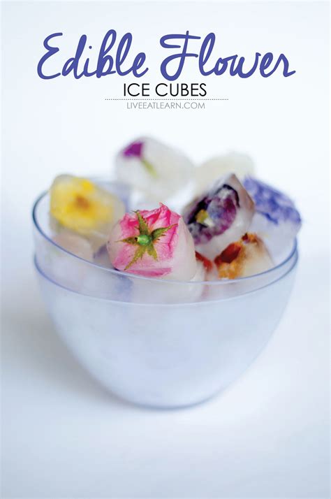 How To Make Edible Flower Ice Cubes Decorate Drinks With Edible Flowers - Drinks With Edible Flowers