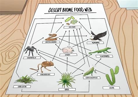How To Make Food Webs Interactive And Fun Food Chain Activities And Lesson Plans - Food Chain Activities And Lesson Plans