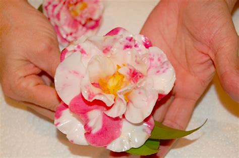how to make lipstick without wax paper flowers