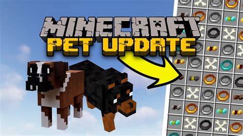 how to make pet in minecraft