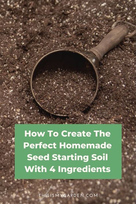 how to make seedling starter soil