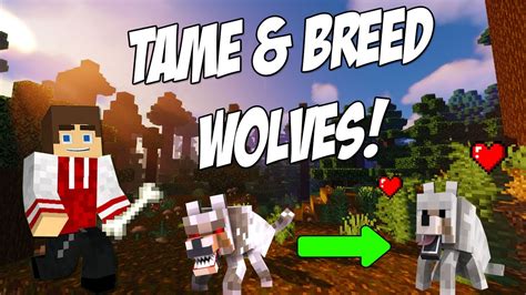 how to make wolves breed in minecraft