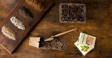 how to make your own seedling soil