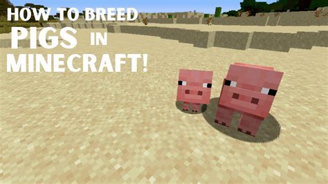 how to mate pigs in minecraft