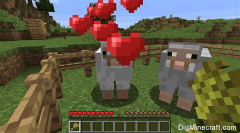 how to mate sheep in minecraft
