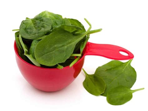 how to measure a cup of spinach? - Eat Eger