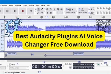 how to modify voice in audacity
