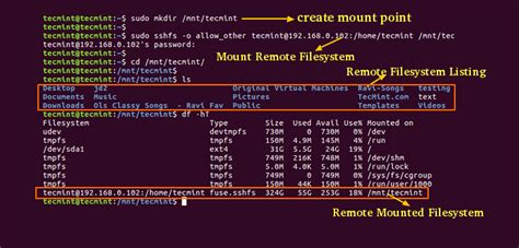 how to mount a directory in linux