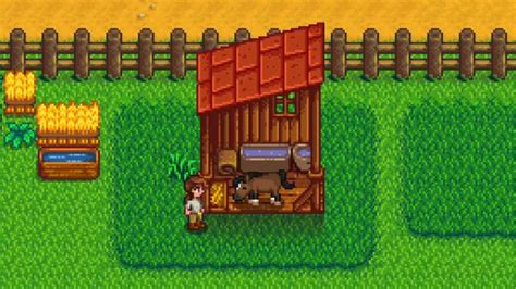 how to move stable stardew valley - babushkarock.com