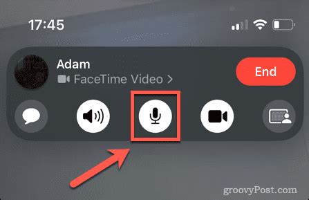 how to mute facetime new update