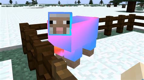 how to name a sheep in minecraft