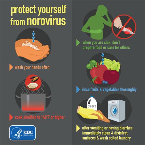 how to not get the norovirus