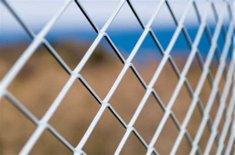How To Paint A Chain Link Fence Angi Spray Painting A Chain Link Fence - Spray Painting A Chain Link Fence