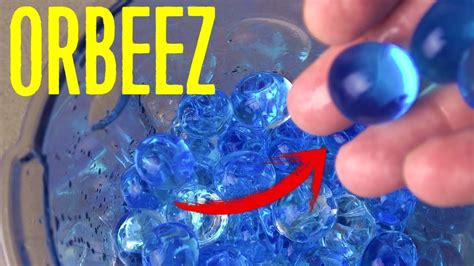 How To Perform Orbeez Experiments Blaster Amp Toy Orbeez Science Experiments - Orbeez Science Experiments