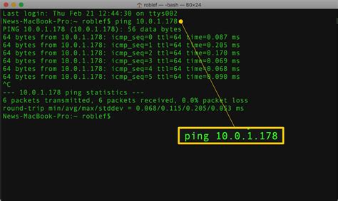 how to ping ip address in mac