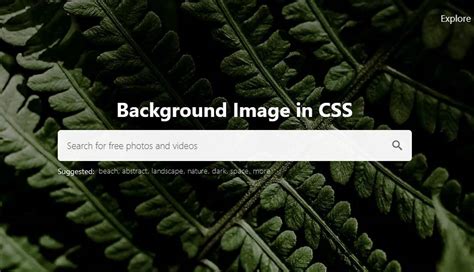 how to place background image in css