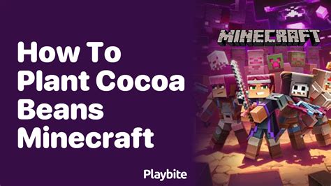how to plant cocoa in minecraft