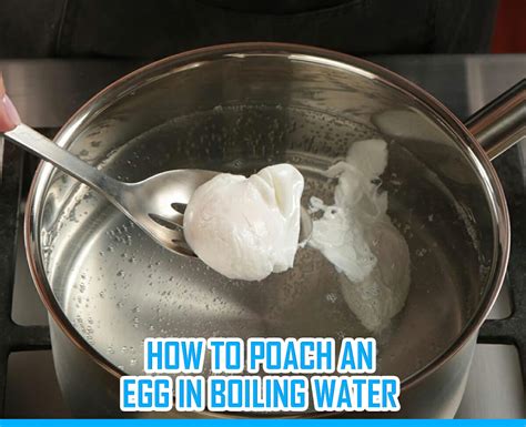 how to poach an egg in water