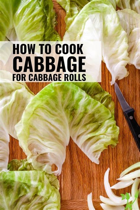 how to prepare cabbage for cabbage rolls