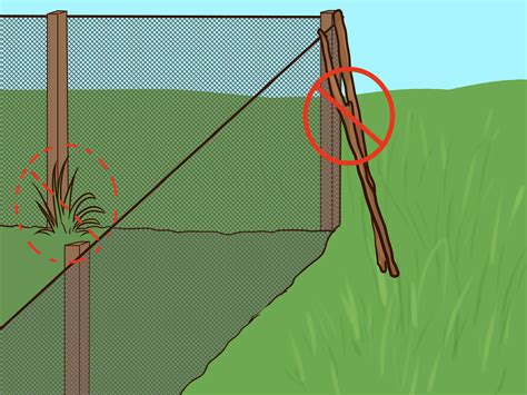 how to prevent rattlesnakes in yard