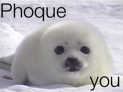 how to pronounce a baby seal in french