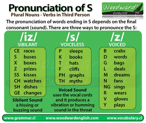 How To Pronounce S And Es Endings In Plural Words Ending In Es - Plural Words Ending In Es