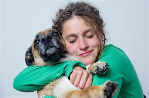 how to properly hug a dog