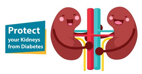 how to protect kidney from diabetes