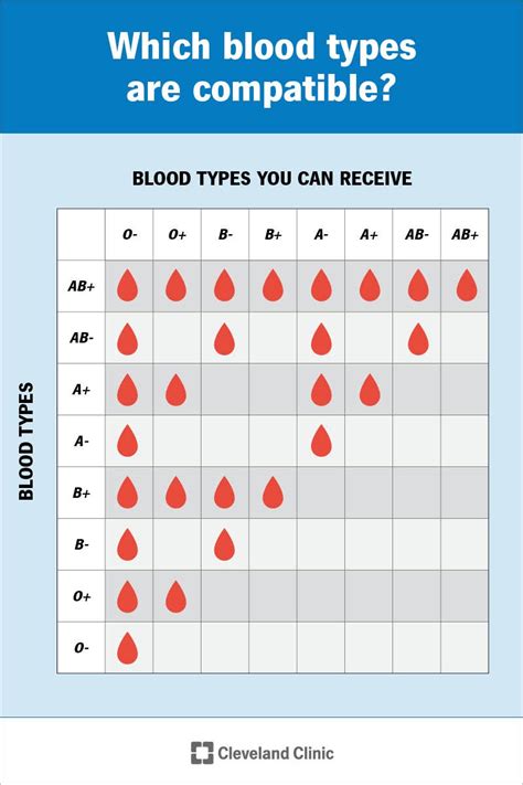 how to consequential blood type chart