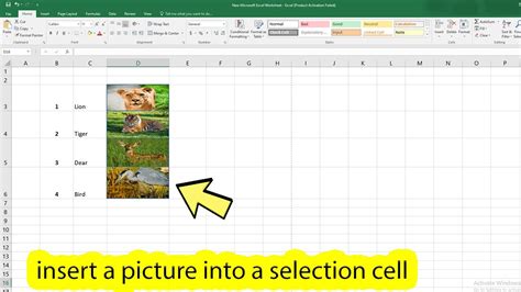 how to put image in excel sheet
