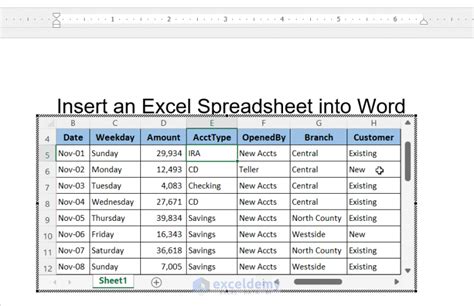 how to put spreadsheet in word