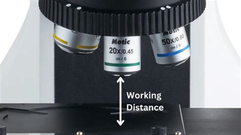 how to enumerate working distance microscope