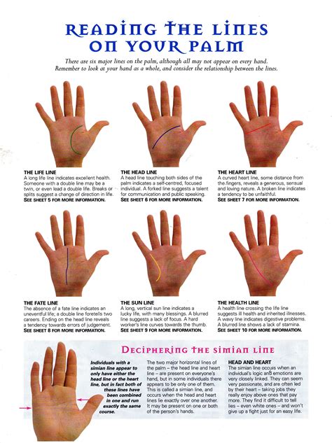 How To Read Palms