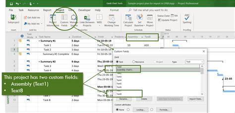 how to read the names of all custom fields in microsoft project?