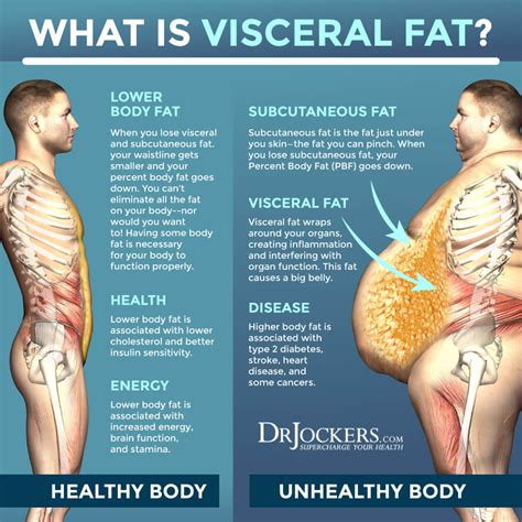 how to reduce visceral fat in body