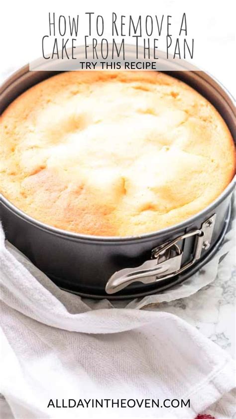 how to remove cake from springform pan