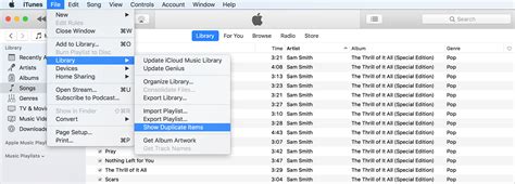 how to remove duplicate tracks in itunes