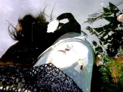 how to remove leeches from a pond