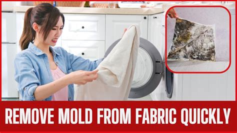 how to remove mold from polyester