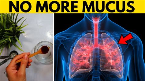 how to remove mucus