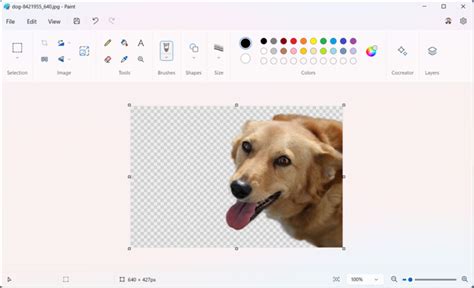 how to remove png background in paint