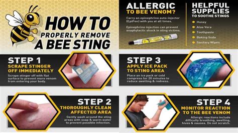 how to remove stinger from insect bite