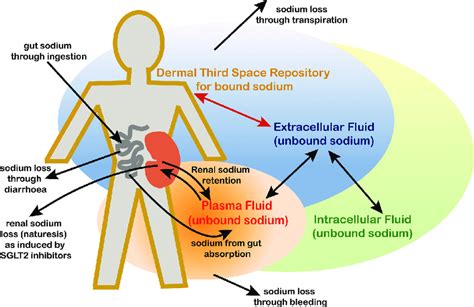 how to replace sodium in your body