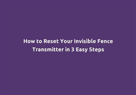 How To Reset Your Invisible Fence Transmitter In Invisible Fence Transmitter - Invisible Fence Transmitter