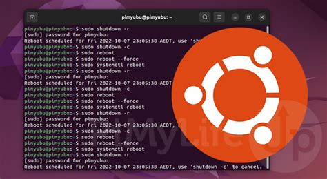 how to restart server in ubuntu