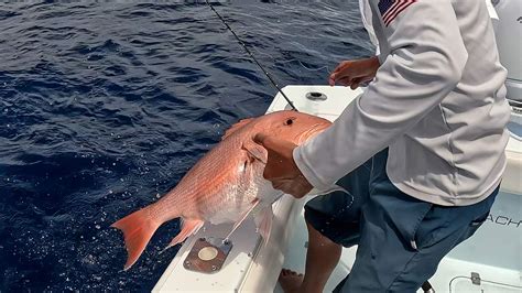 how to rig for red snapper